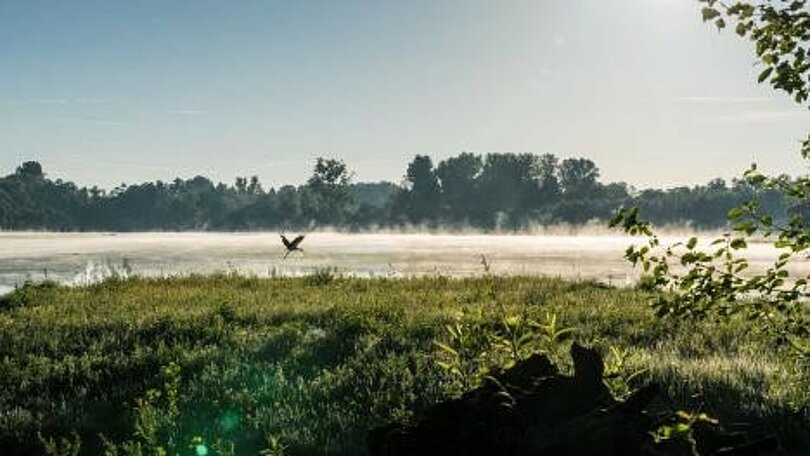 Natur
